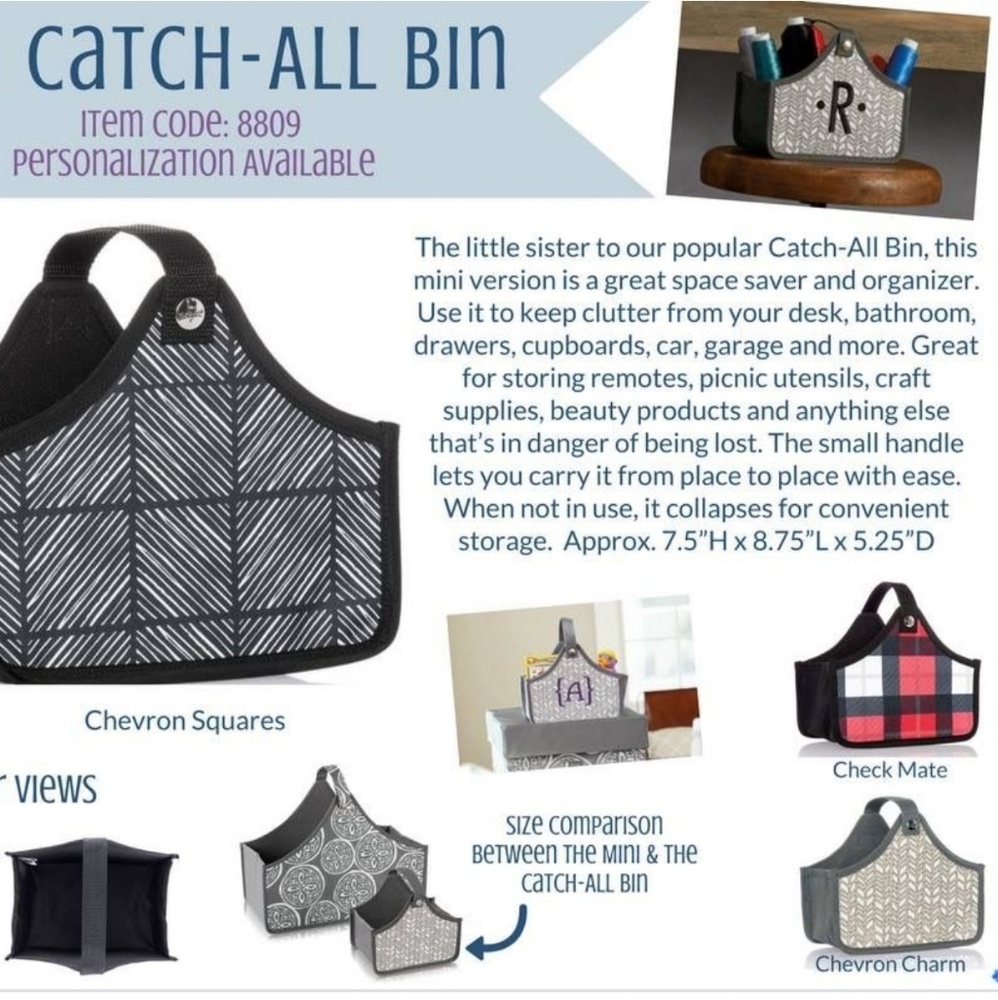 Thirty-one catch all bin- check mate
